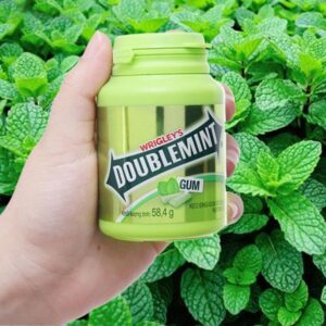 Kẹo singgum Double mint hương bạc hà