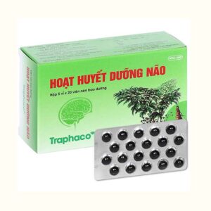Hoạt huyết dưỡng não Traphaco