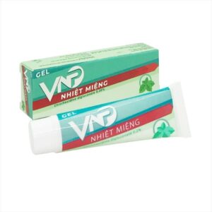 Gel bôi nhiệt miệng VNP tuýp 10g